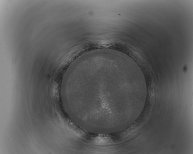 X0000112820270200908281538