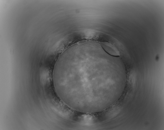 X0000112820272200908281538