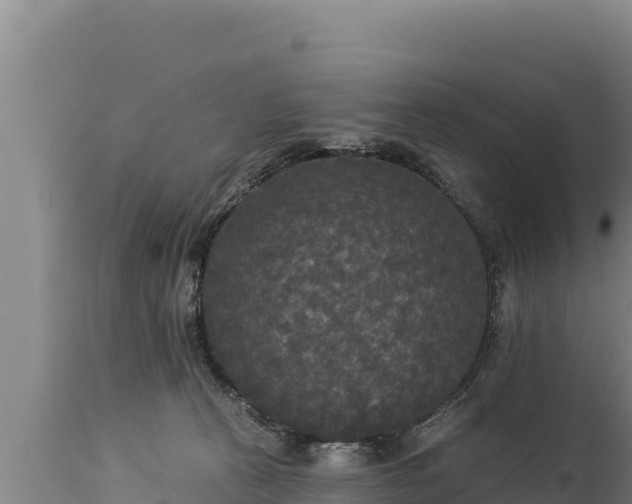 X0000112820273200908281538