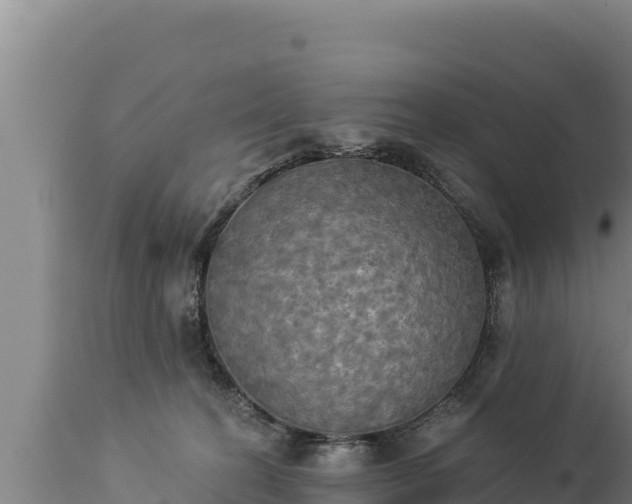 X0000112820274200908281538