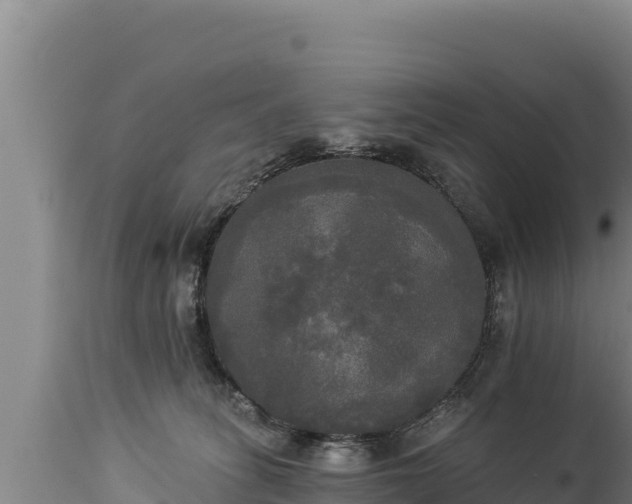 X0000112820275200908281538