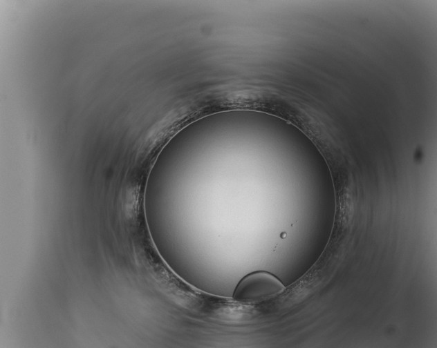 X0000112820278200908281538