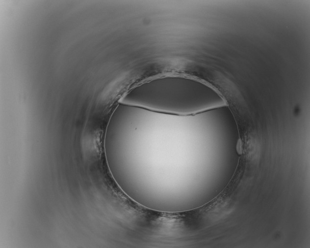 X0000112820280200908281538