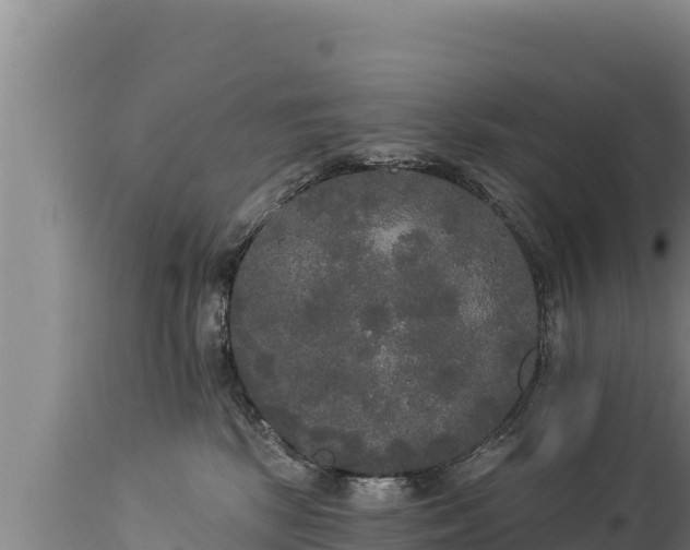 X0000112820281200908281538