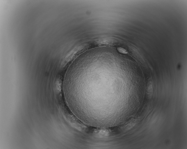 X0000112820282200908281538