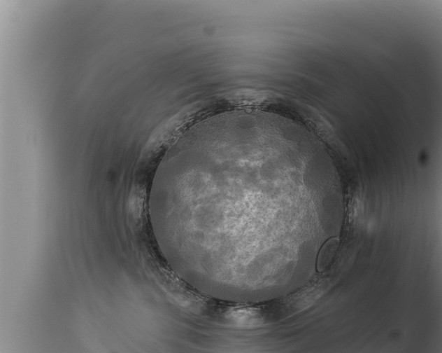 X0000112820283200908281538