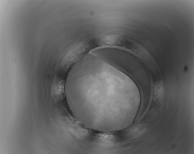 X0000112820284200908281538