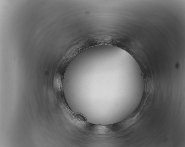 X0000112820287200908281538