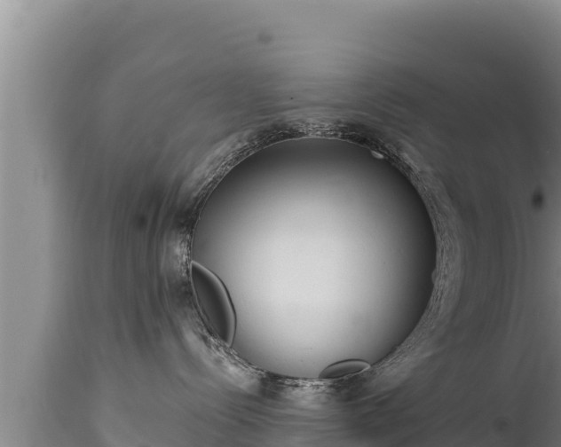 X0000112820288200908281538