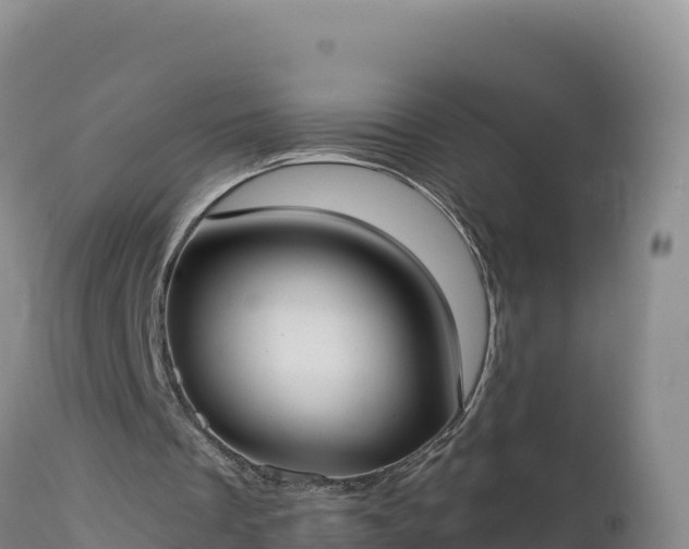 X0000112820289200908281537