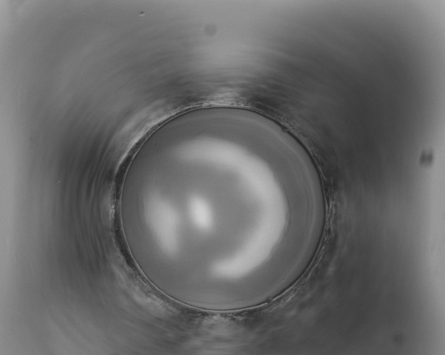 X0000112820290200908281537