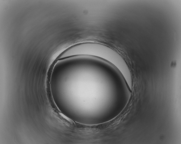 X0000112820292200908281537