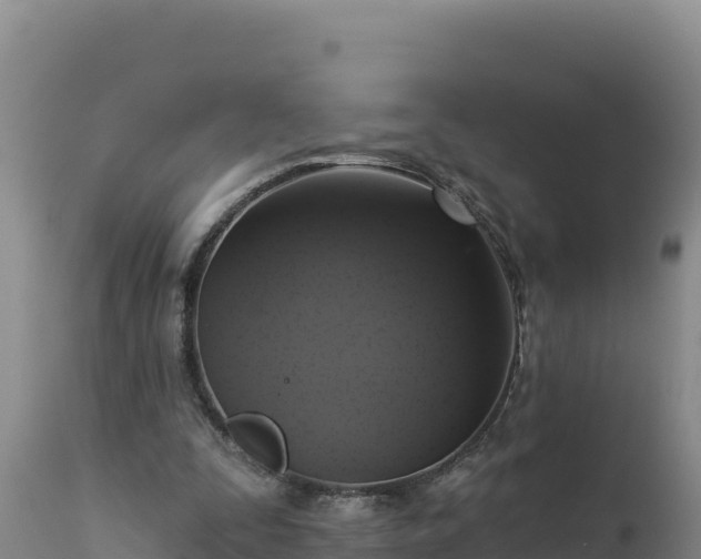 X0000112820295200908281537