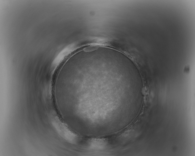 X0000112820296200908281537