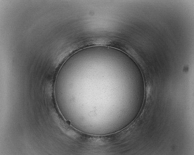 X0000112820297200908281537