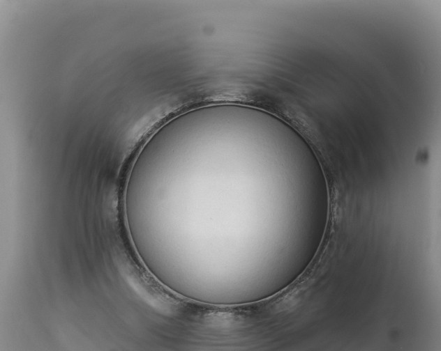 X0000112820298200908281537