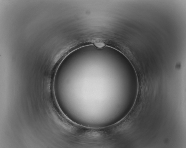 X0000112820299200908281537