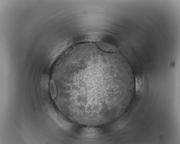 X0000112820300200908281537