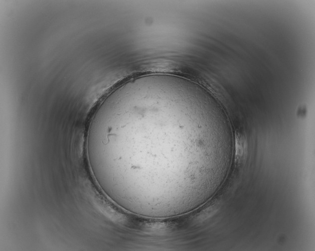 X0000112820301200908281537