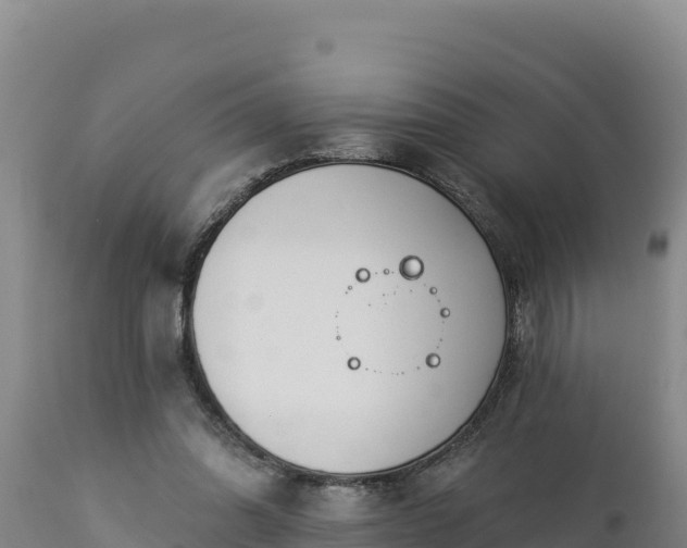 X0000112820302200908281537