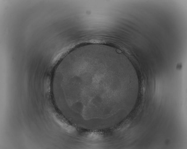 X0000112820303200908281537