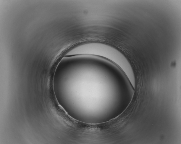 X0000112820304200908281537