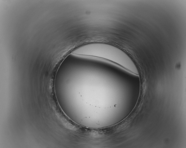 X0000112820305200908281537