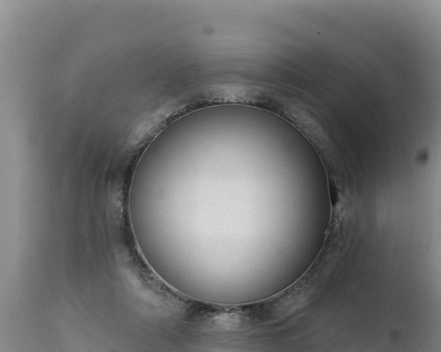 X0000112820306200908281537