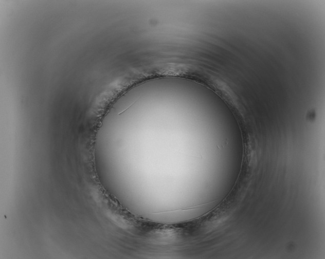 X0000112820307200908281537