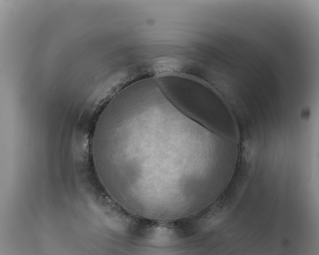 X0000112820308200908281537