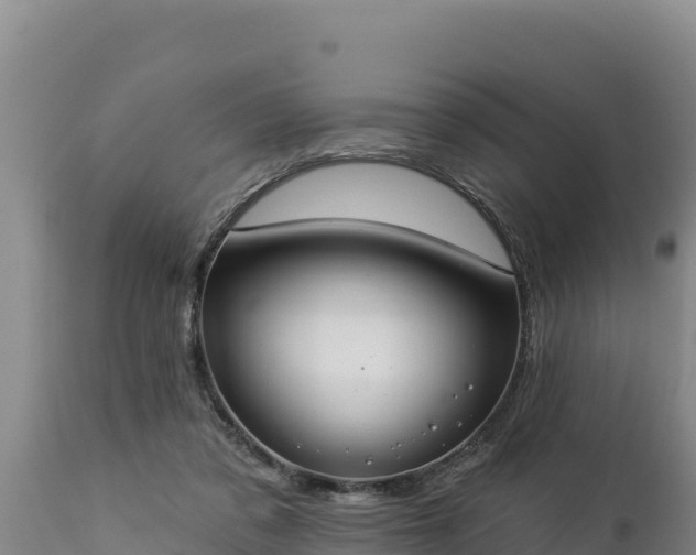 X0000112820309200908281537