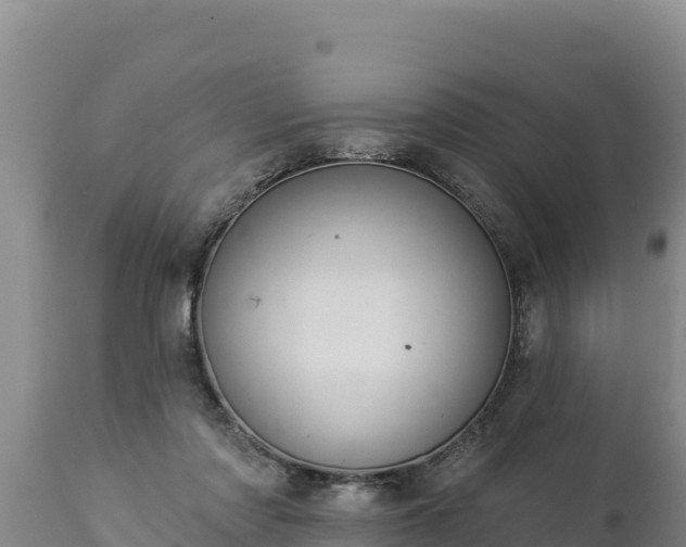 X0000112820310200908281537