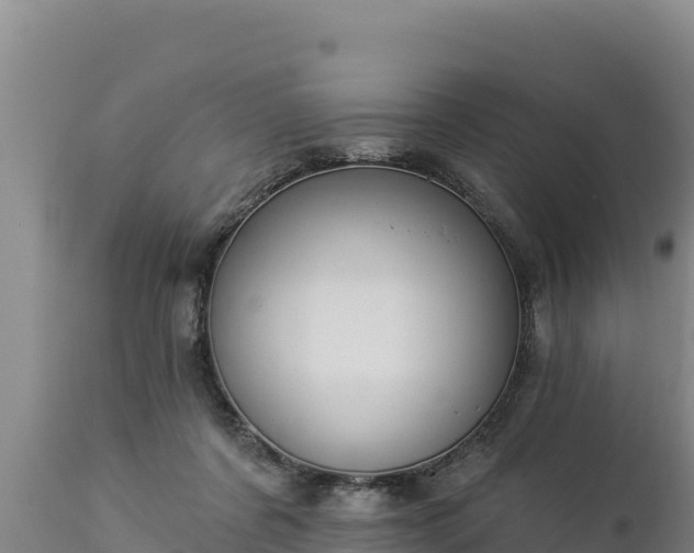 X0000112820311200908281537