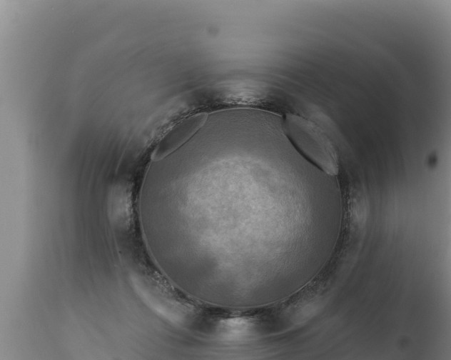 X0000112820312200908281537