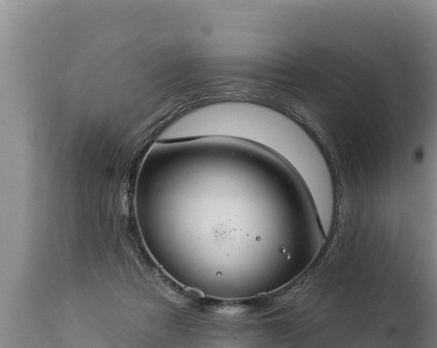 X0000112820313200908281537