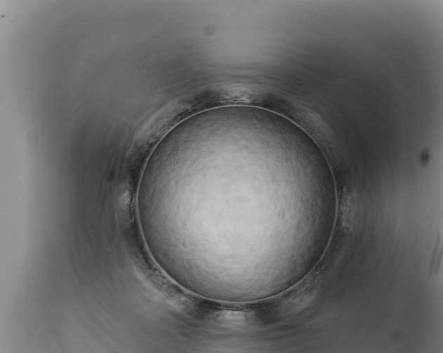 X0000112820314200908281537