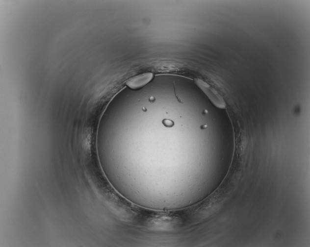 X0000112820315200908281537