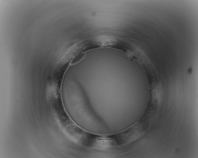 X0000112820316200908281537