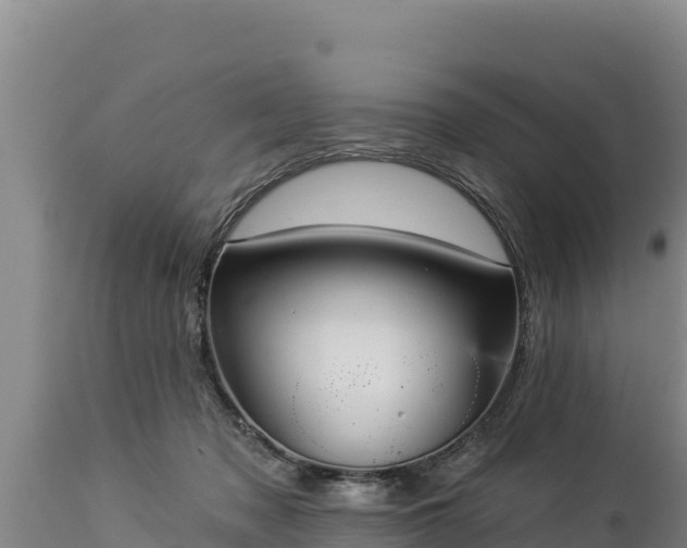 X0000112820317200908281537