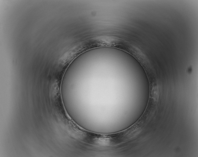 X0000112820318200908281537