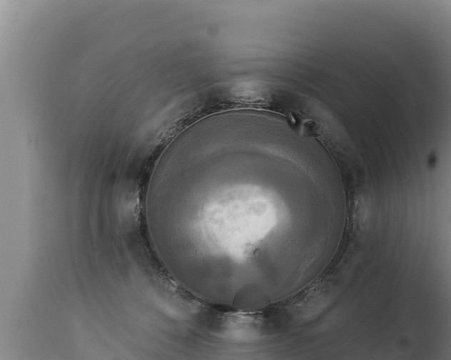 X0000112820320200908281537