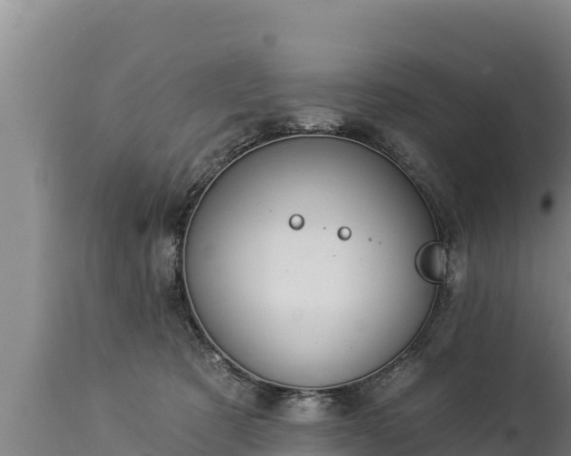 X0000112820321200908281537