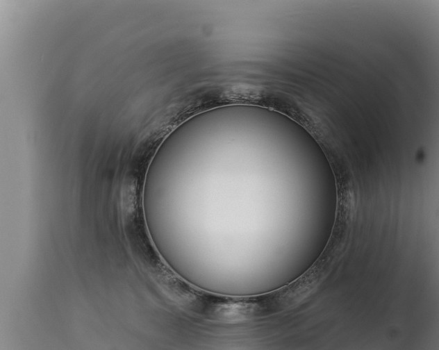 X0000112820323200908281537