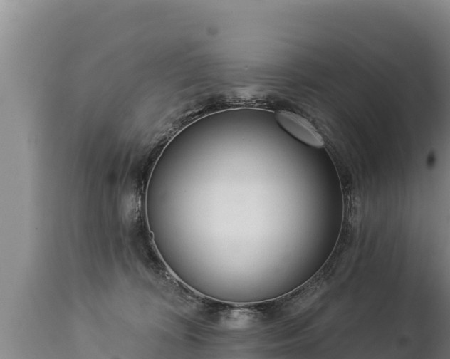 X0000112820324200908281537