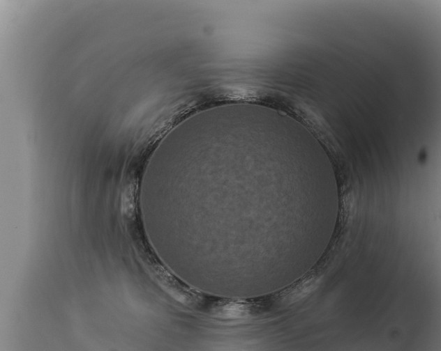 X0000112820325200908281537