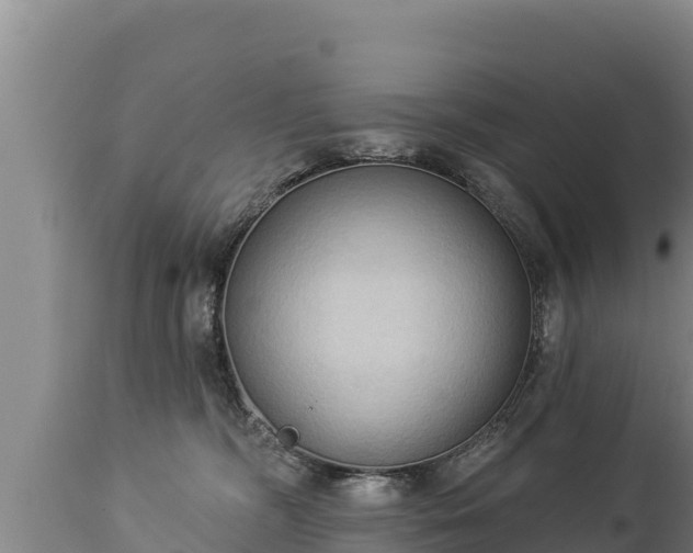 X0000112820326200908281537