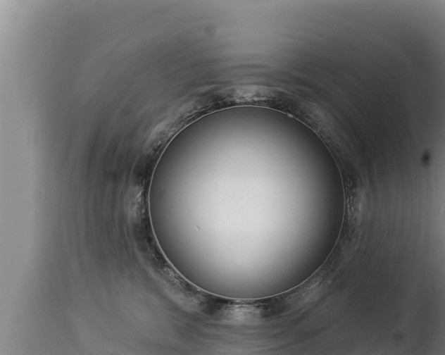 X0000112820327200908281537