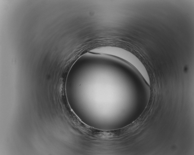 X0000112820328200908281537