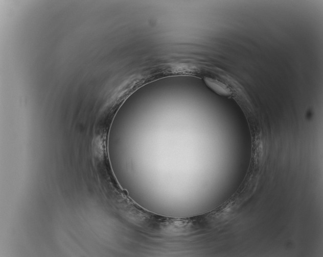 X0000112820329200908281537