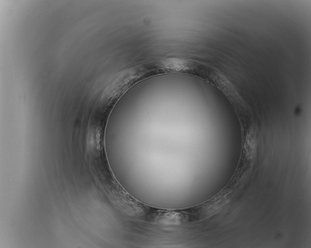 X0000112820330200908281537